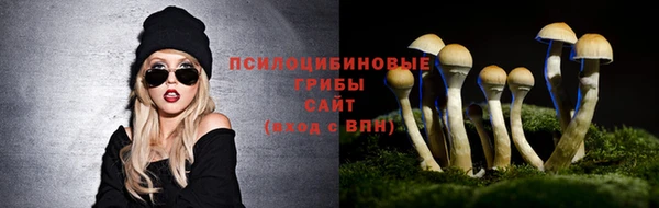 соль курить ск Козловка