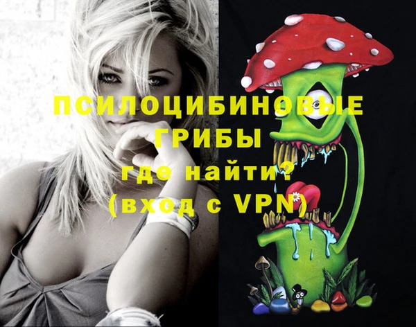 соль курить ск Козловка