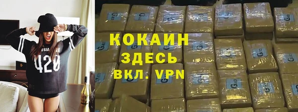 трава Коряжма